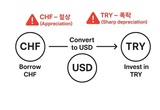 [ 캐리 트레이드와 UIP퍼즐] 캐리 트레이드와 UIP 퍼즐의 구분