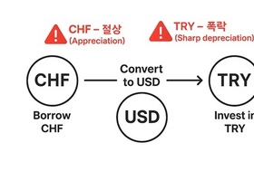 [ 캐리 트레이드와 UIP퍼즐] 캐리 트레이드와 UIP 퍼즐의 구분